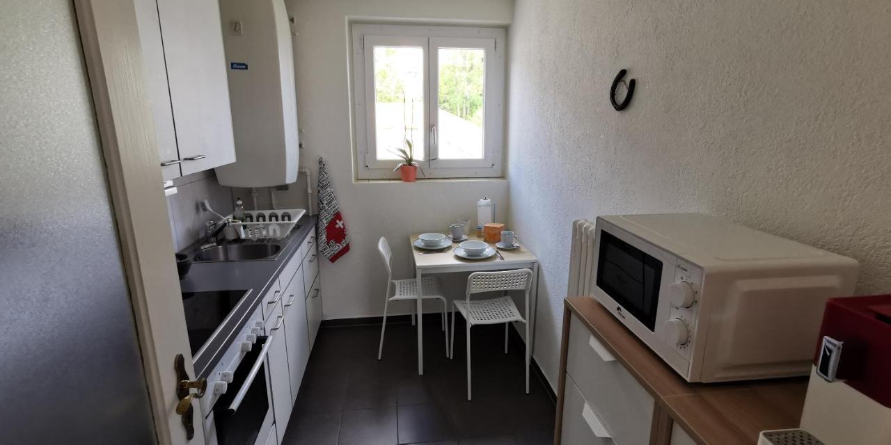 Helvetia 2 Zimmer Apartment Mit Parkplatz 취리히 외부 사진